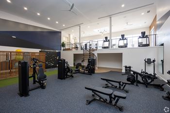 Extensive weight room with treadmill